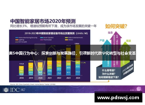 麦5中国行为中心：探索创新与发展路径，引领新时代数字化转型与社会变革